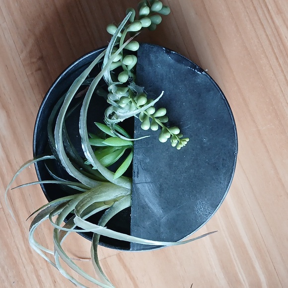 Wall decor - Picture 4 of 5